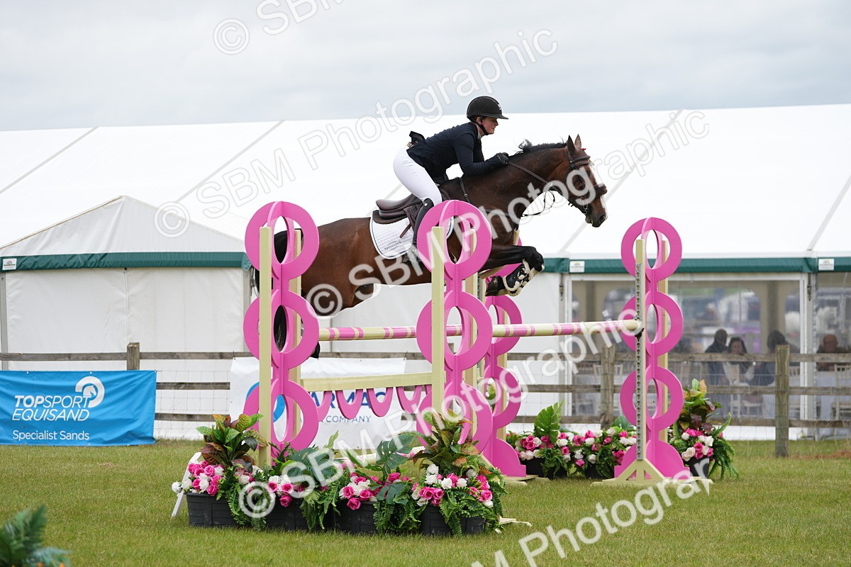 SBM_03162 - Class 201 - British Horse Feeds Speedi Beet Horse of the Year Show Grade  C