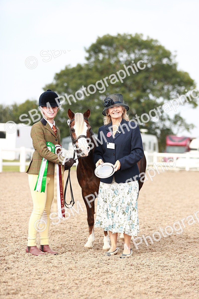 SBM_10614 - Class 204 Young Handler, 11-16 years