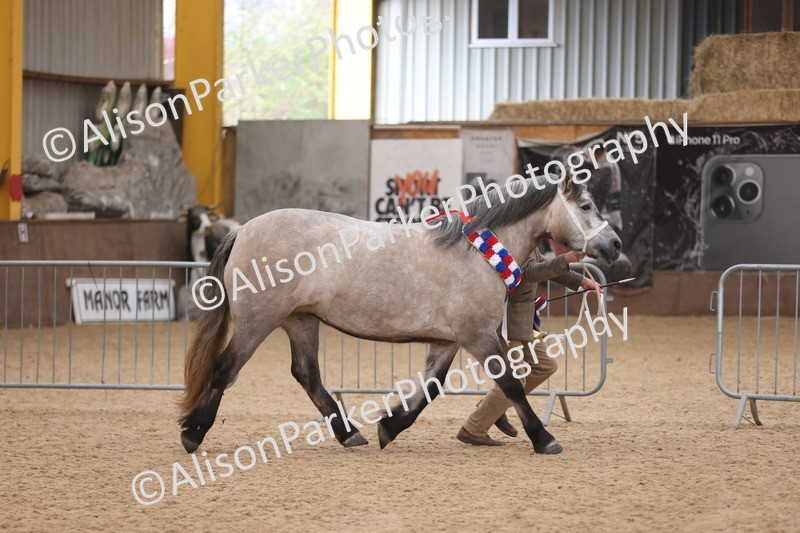 20251109-1253 - Supreme Championship