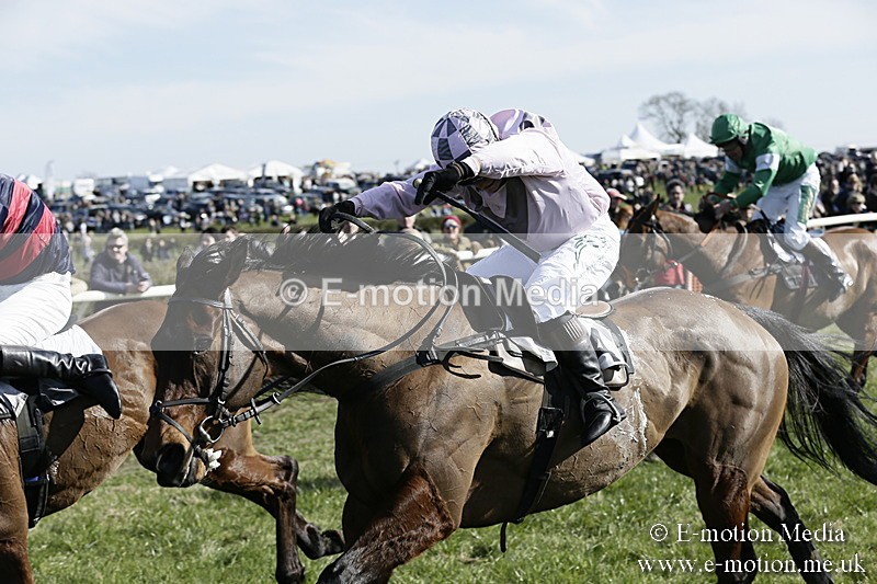 PtP 250317 232 - V.W.H. Hunt Point-to-Point Siddington 25/03/17