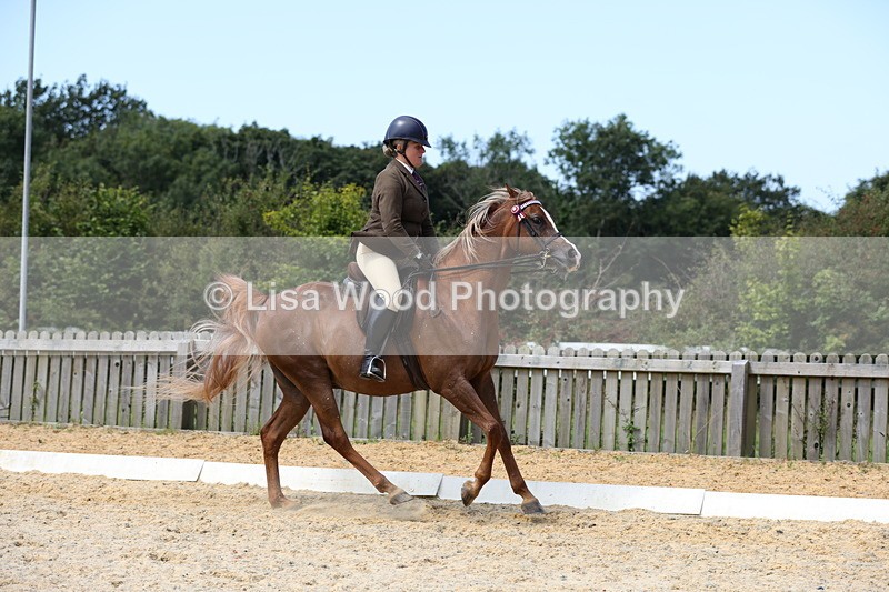 1X9A8348 - Class 13: Arab Ridden