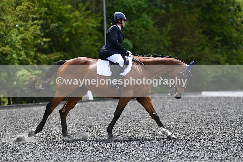 WJ5_0797 - Time 13:04 to 13:42