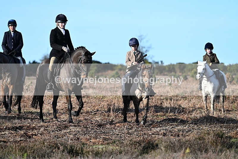 WJ7_7339 - Line 3 (no line 4 or 5)