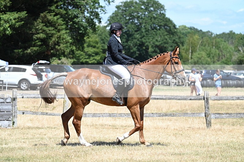 WJ7_2866 - Class 7 Riding Club Show Horse