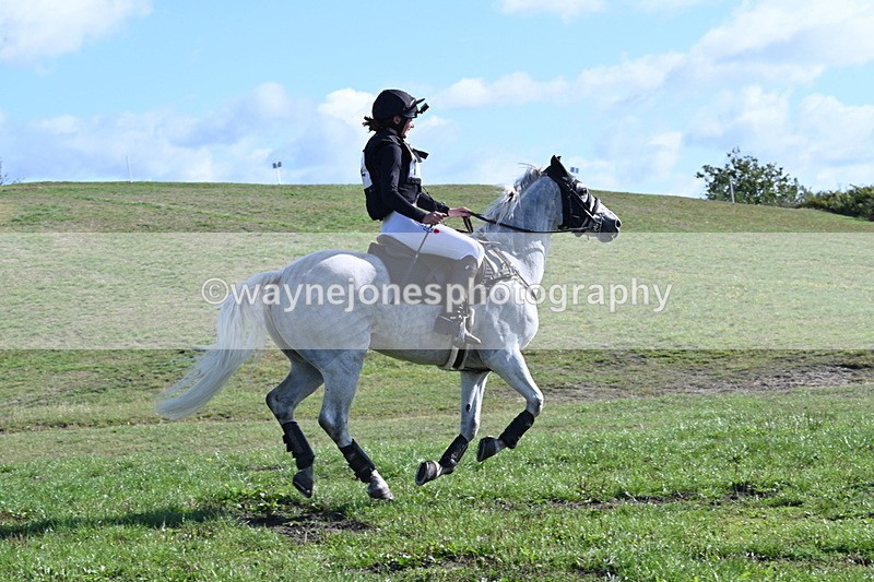 WJ7_9598 - Time 10:47 to 11:01