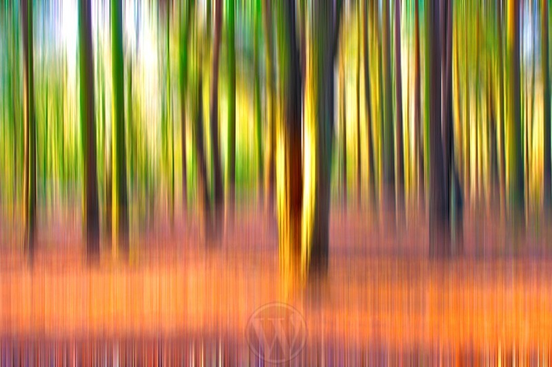 Lychna Abstract - Abstracts