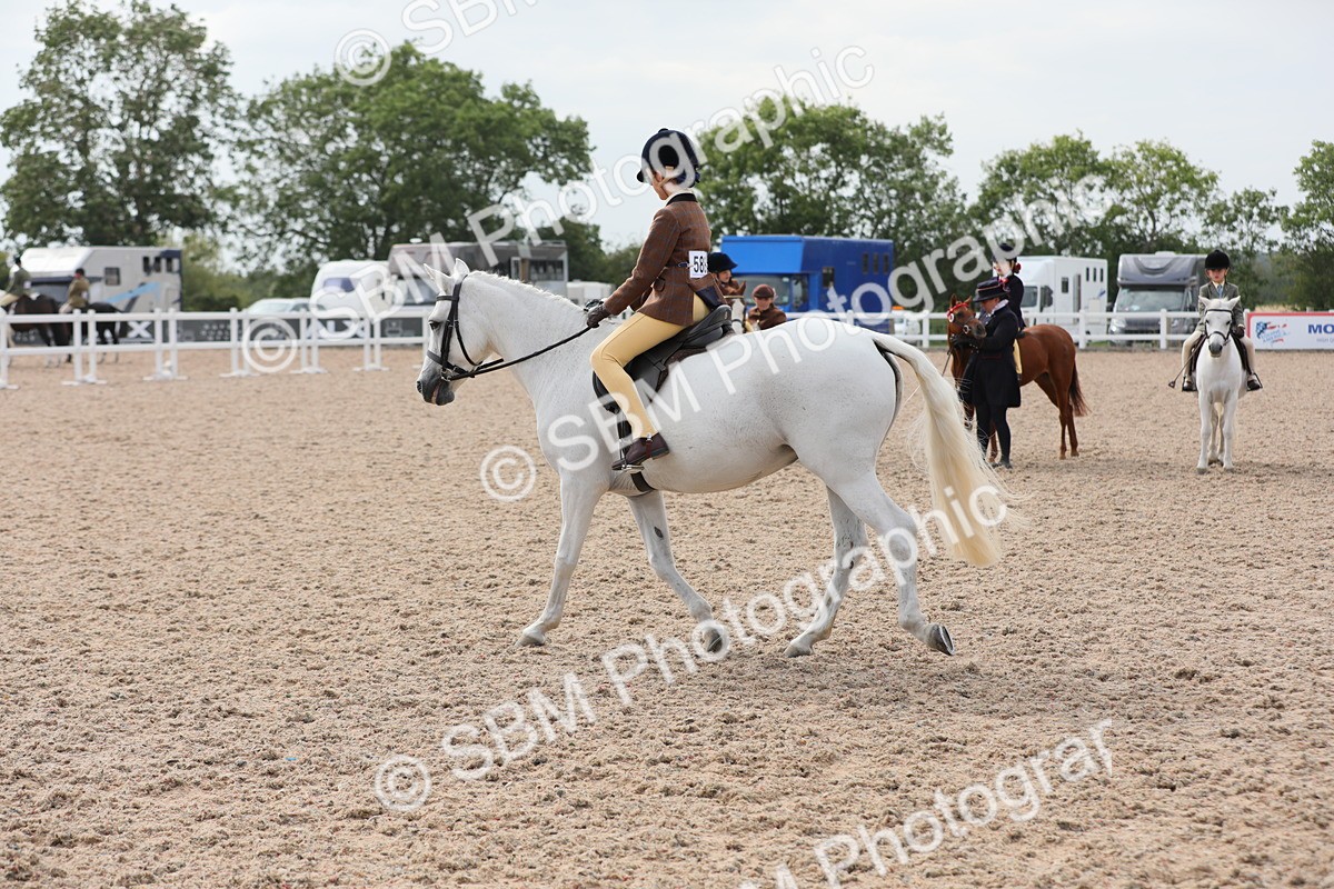 SBM_17011 - Class 314 Family Horse/Pony