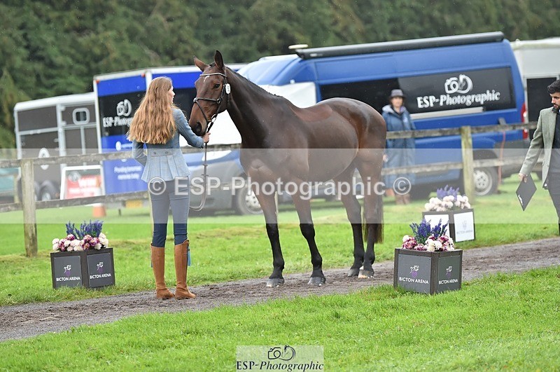 231018-124036-00442 - 052-SHANNONDALE.COURAGE-Georgina.Beeby.Wynn-TrotUp