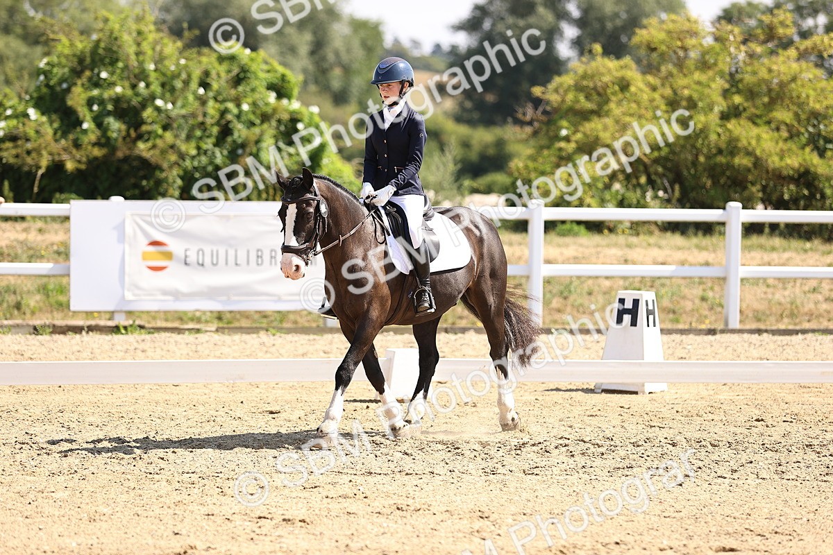 SBM_003547 - Intro 2