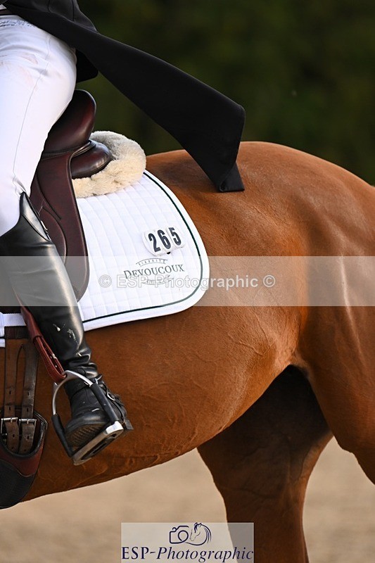 231021-161857-21089 - 265-EG.TIGER.CHILLI-Tayla.Mason-DR