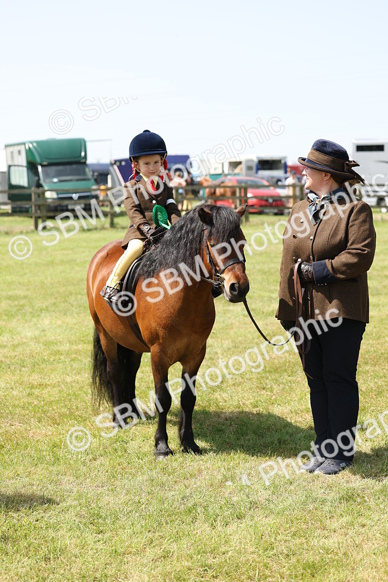 SBM_05280 - Class 24-25 - Mountain & Moorland In Hand Lead Rein and First Ridden