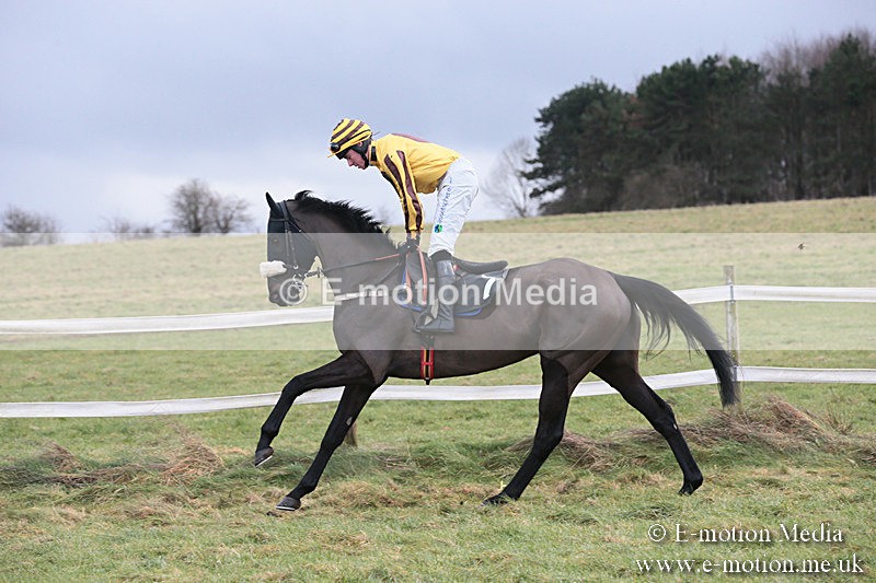 PtP 230119 142 - Royal Artillery Point-to-Point  - Larkhill  - 26/01/19