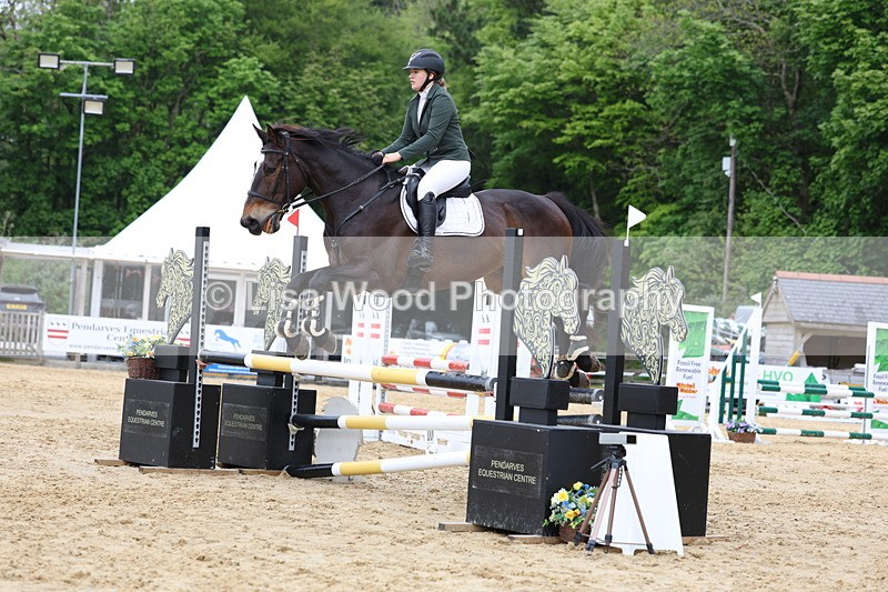 3E7A6536 - Class 4: Senior British Novice/90cm open