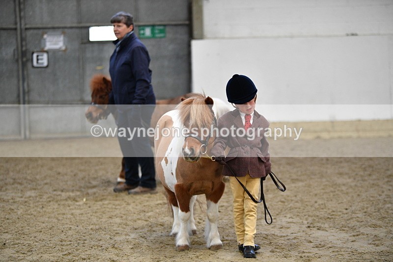 WJ5_5102 - Class 7 In hand coloured / odd coloured