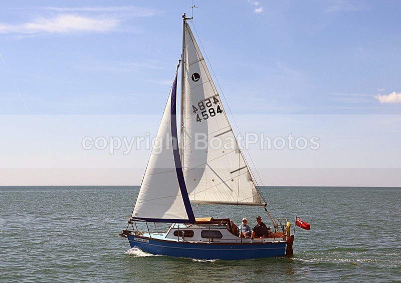140729 SUMMER WINE 4584 WT7A1719 - Sailboats - monohull