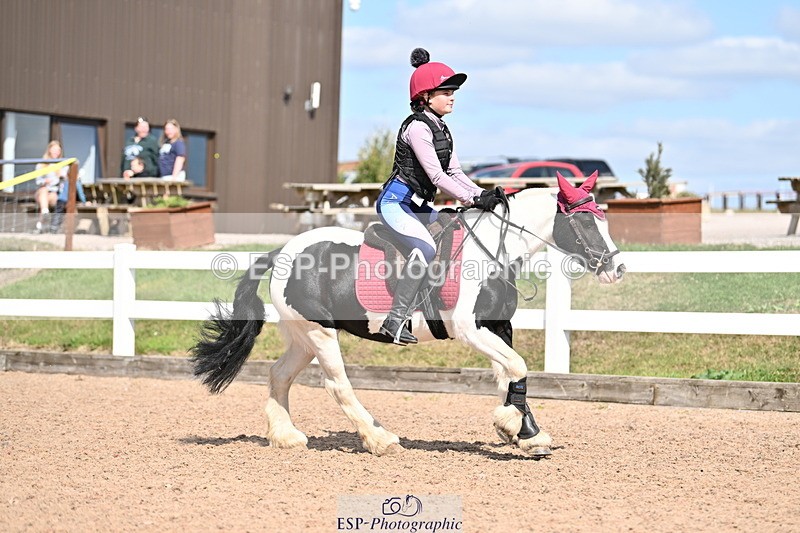 250821B-150258-00912 - Group D - Thomasina