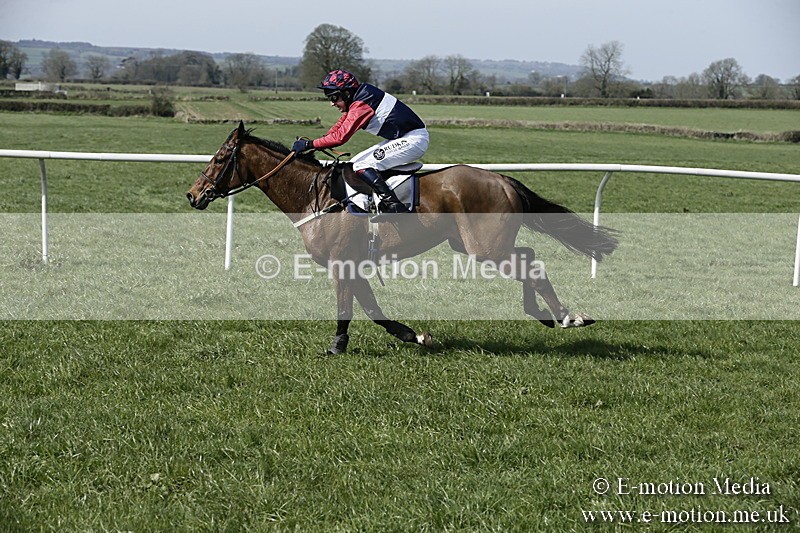 PtP 260317 14 - Mendip Farmers Point-to-Point Ston Easton 26/03/17