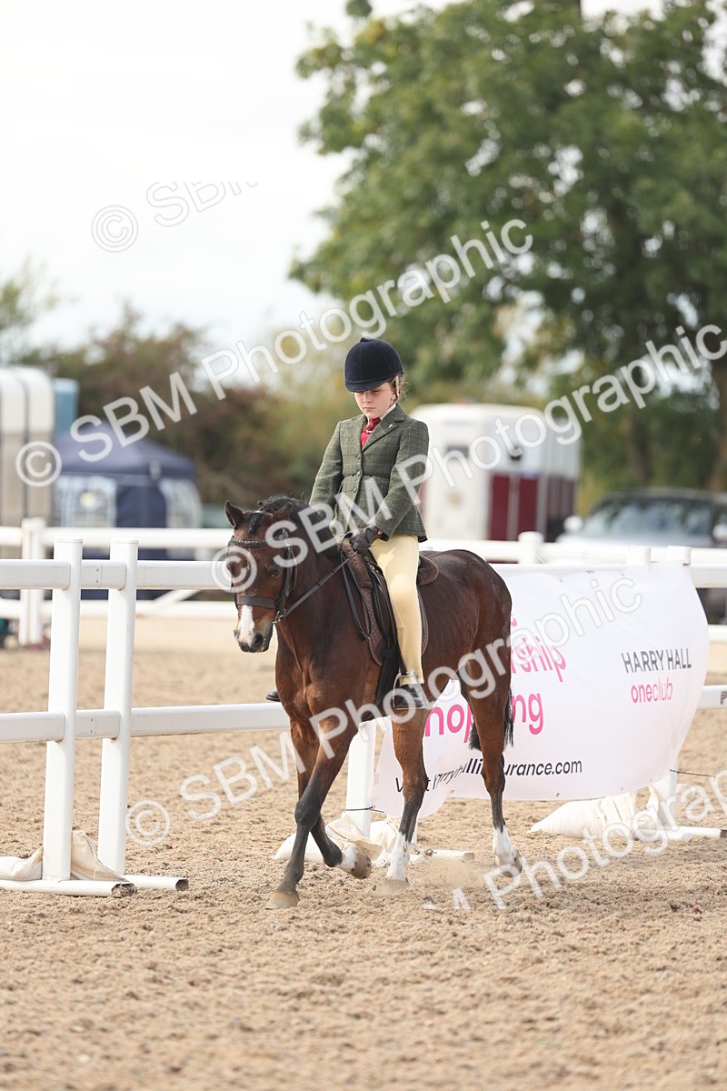 SBM_15884 - Class 310 - First Ridden Pony