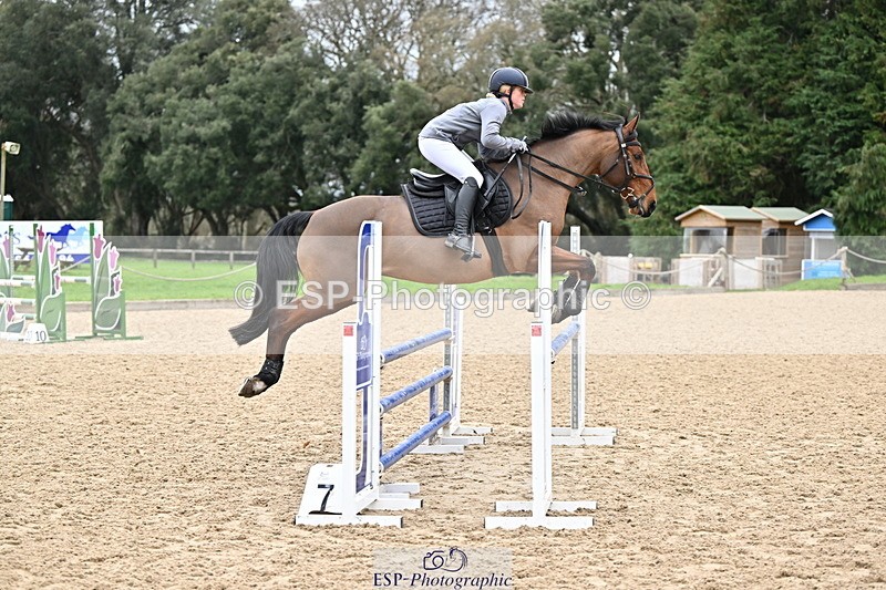 250201A-110632-00331 - Cls 02 Local Horse 100cm