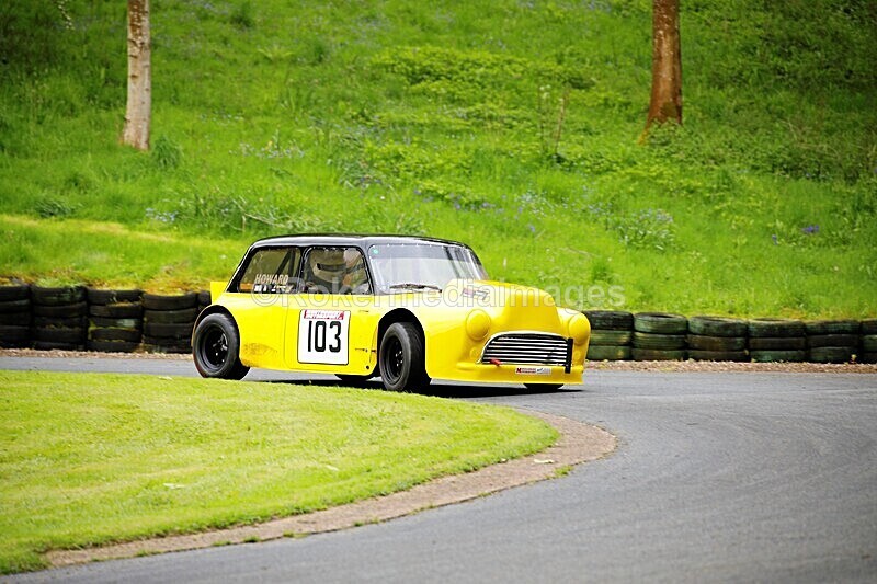 _56A1764 - MINI FESTIVAL 22ND May 2021