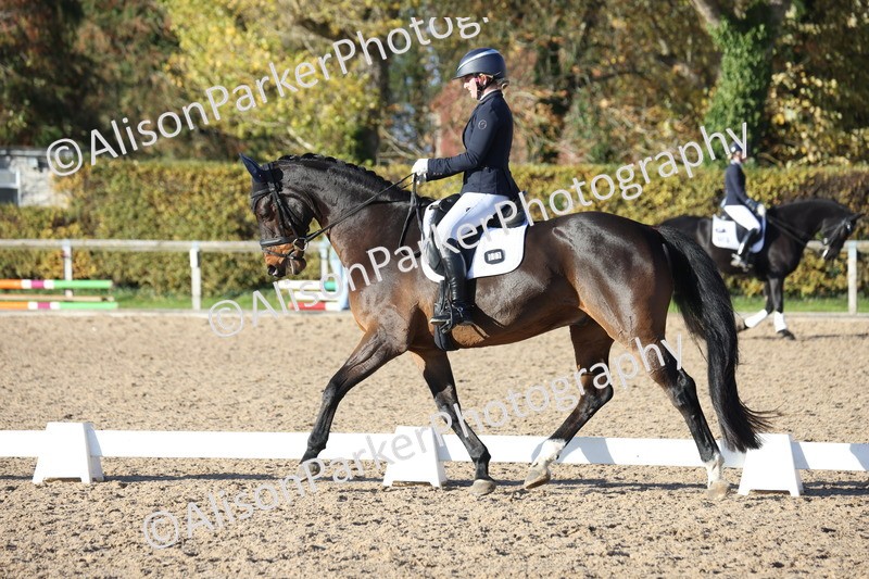 20251102-1205 - Class 7 - Medium 5