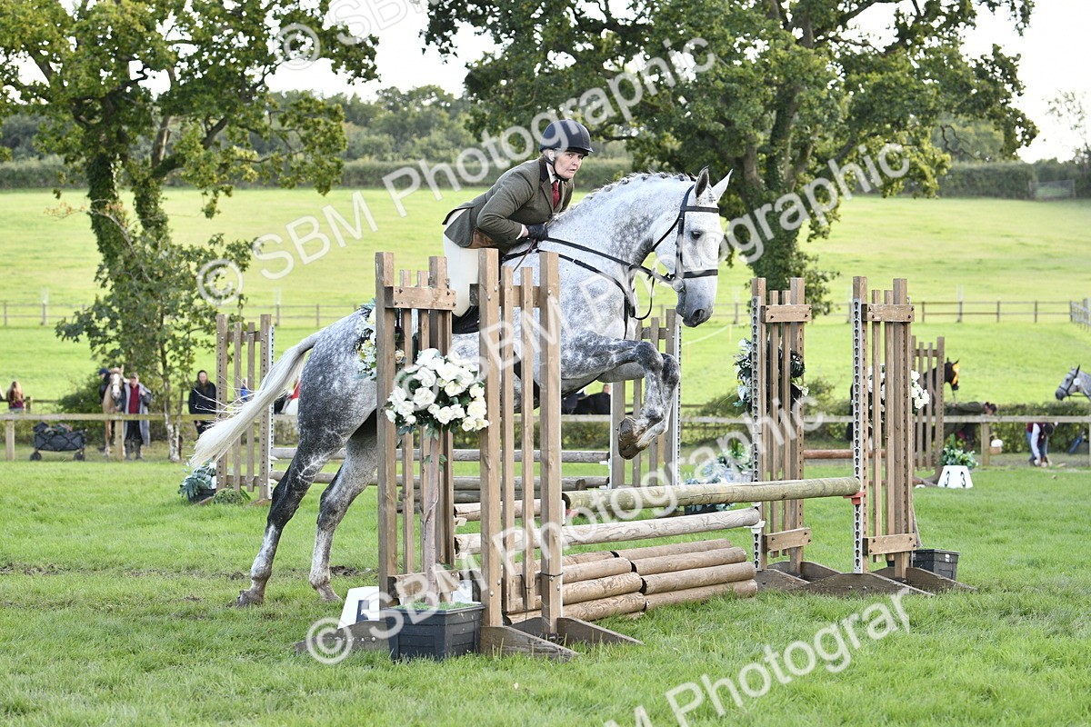 SBM_52163 - S35 - Working Hunter & Working Show Horse