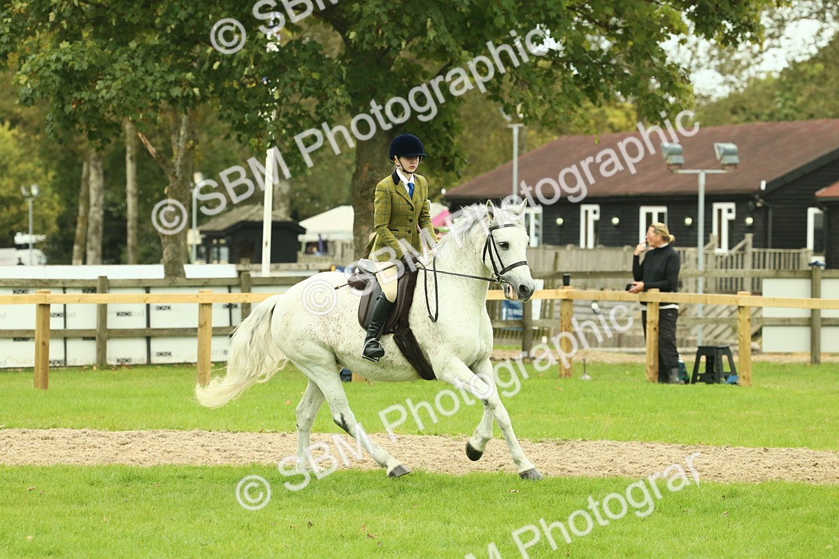 SBM_72050 - S60 - Mountain & Moorland Ridden Large Breeds
