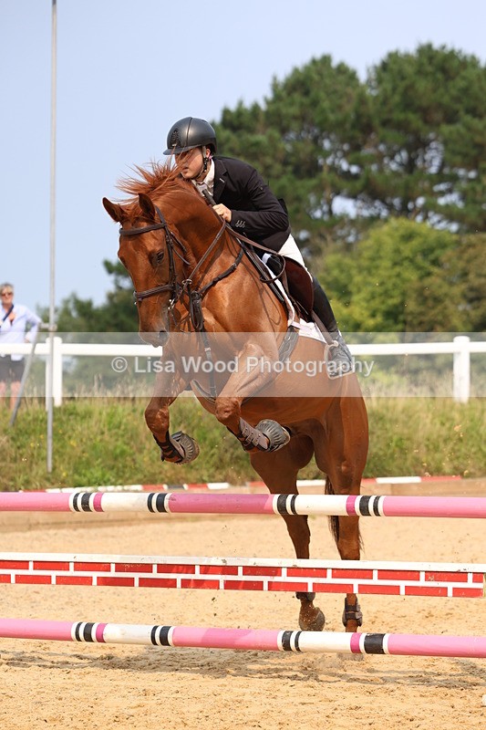 3E7A1260 - Class 4: Senior British Novice/90cm open