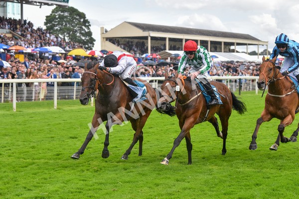 150723-Race 4-Hamish-8713 - Race 4 3.45pm John Smith's Silver Cup Stakes