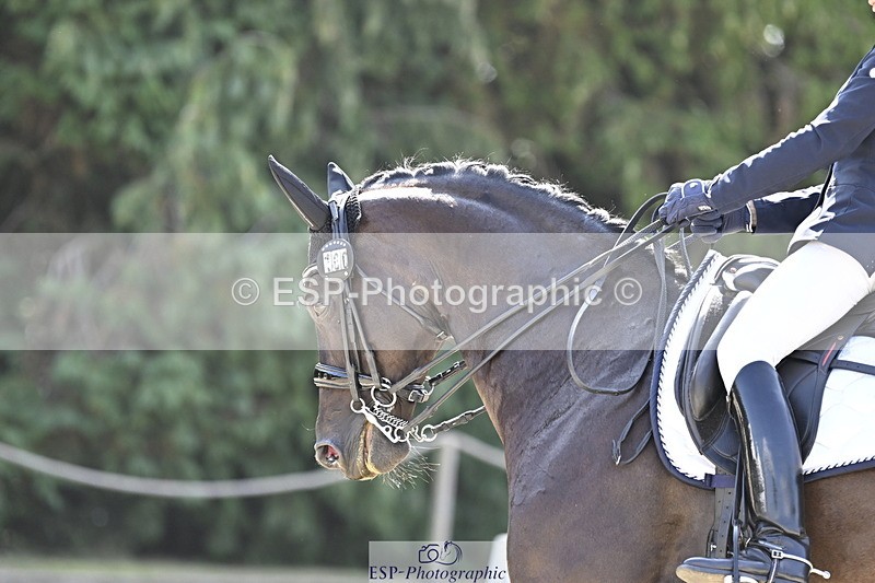 250810A-111904-05360 - 106-Lynn.WickesFurstino