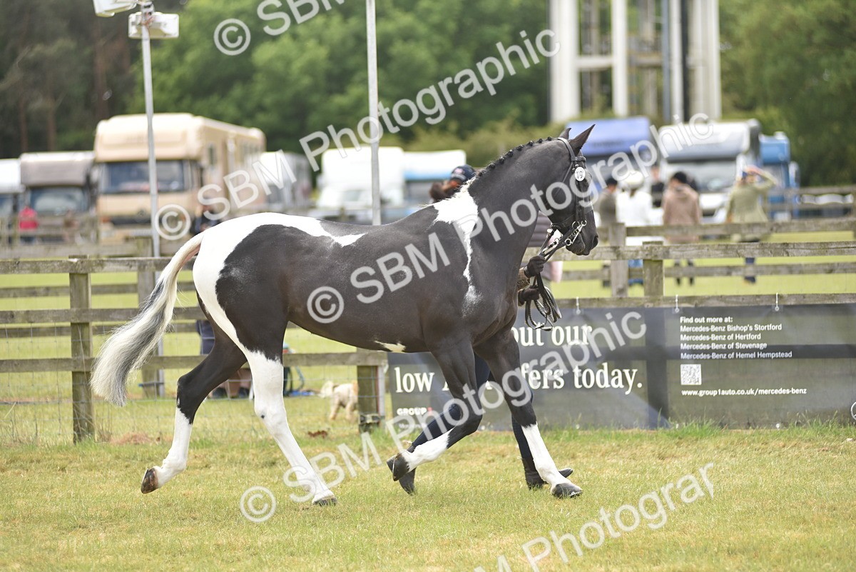 SBM_16036 - Class 117-122 - SSADL RIHS Qualifier