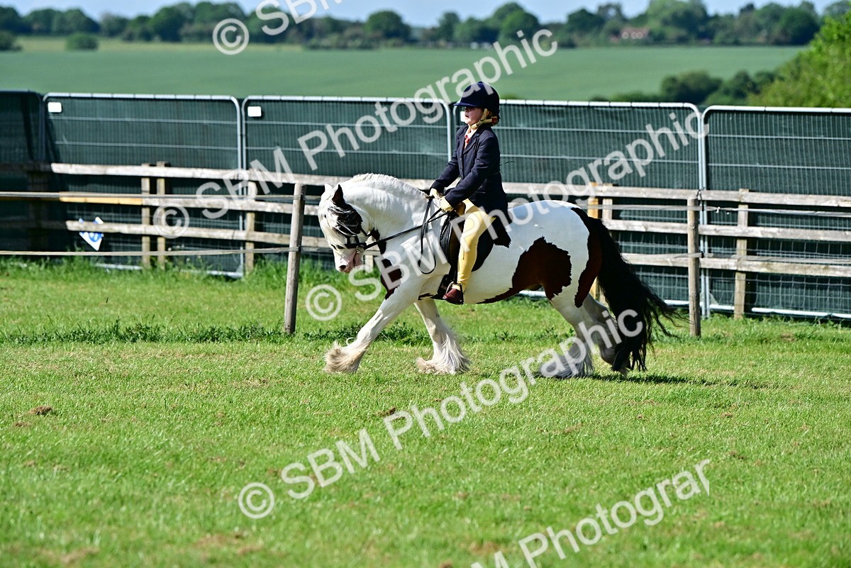 SBM_09410 - Class 63-65 - Traditional Gypsy Cobs In Hand & Ridden