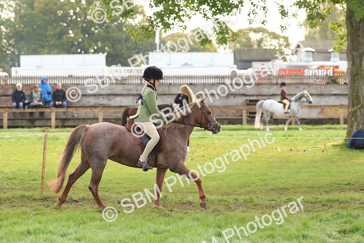 SBM_56582 - S40 - Starters Ridden Showing
