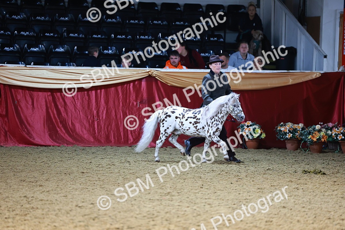 SBM_22300 - Class 902 - Supreme Final - IH Diamond