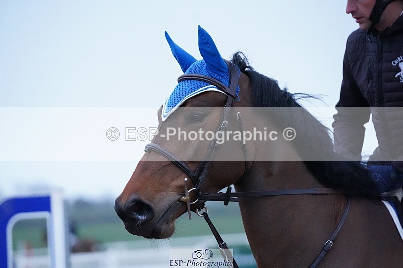 250223-075814-02826 - Cls 15 British Novice and 90cm Open