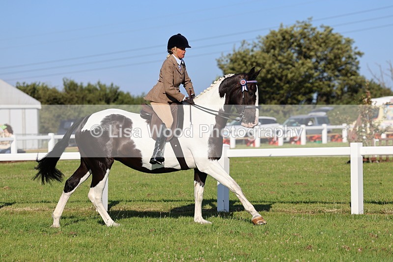 IMG_1219 - Class 27: Ridden Plaited Coloured Horse