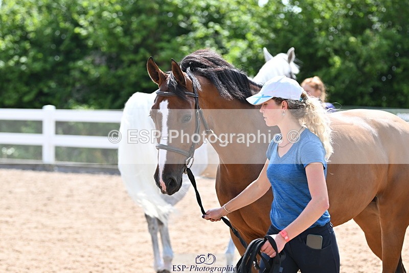 240717A-152135-02782 - Trot Up 3pm to 4pm