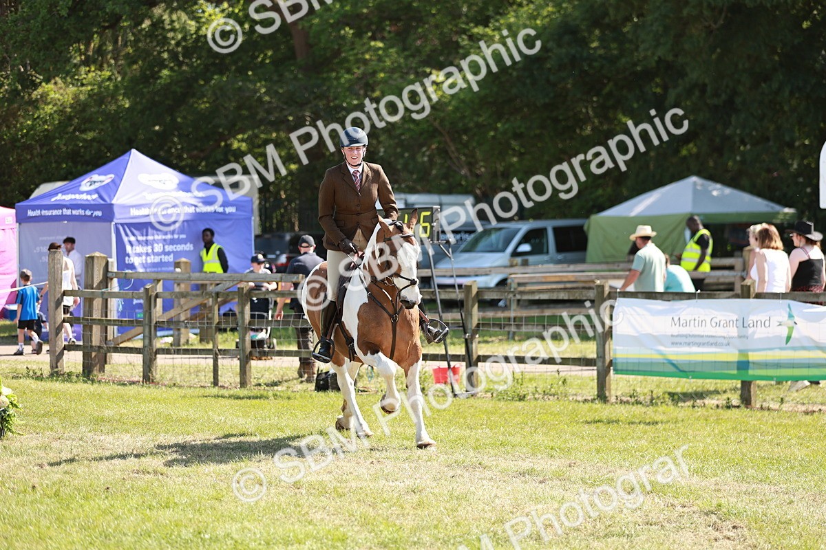 SBM_18802 - Class 114 - RIHS & SEIB Open Working Show Horse