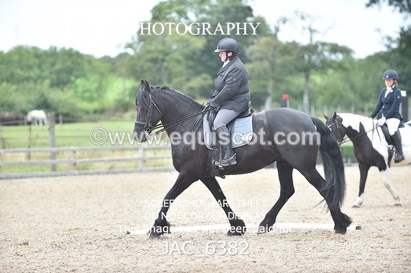JAC_6382 - ELEMENTARY