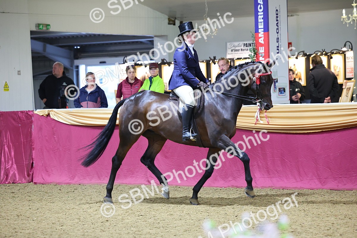 SBM_19082 - Class H Foreign Breeds Champ