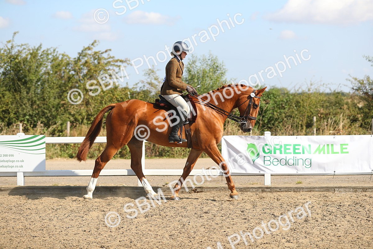 SBM_02205 - Class 43 Ridden Competition Horse/Pony