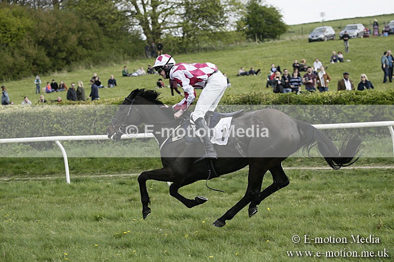 PtP 170417 377 - Old Berks Point-to-Point Lockinge 17/04/17