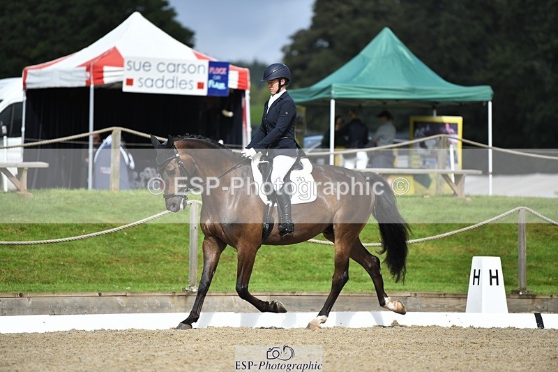 230812-104402-03450 - Cls 6 Novice Silver 10.30 to 11.55 break