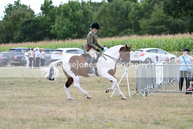WJ7_5218 - Class 12 Ridden Cob
