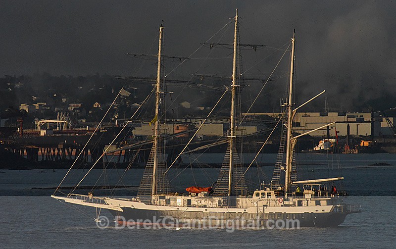 Lord Nelson Tall Ships Rendezvous 2017 Saint John New Brunswick Canada - Tall Ships