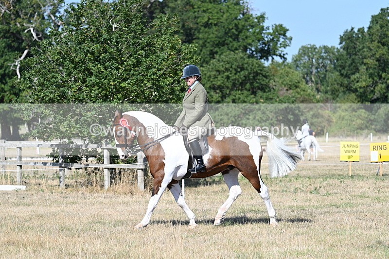 WJ7_3252 - Class 8 Ridden Tack & Turnout