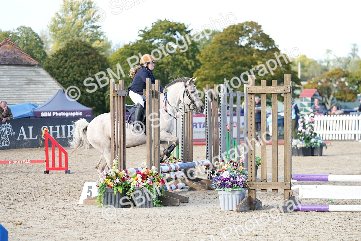 SBM_29146 - J43 - Horse & Hound Open 50cm