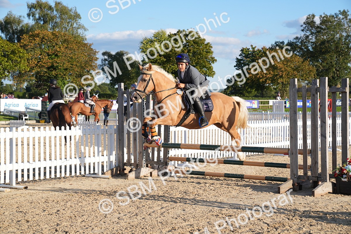 SBM_30007 - J44 - Super Speedy Scurry Open - 70cm