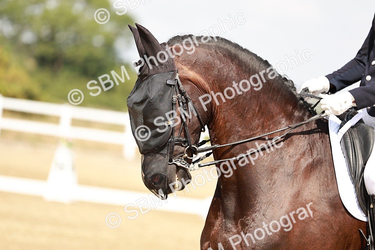 SBM_004162