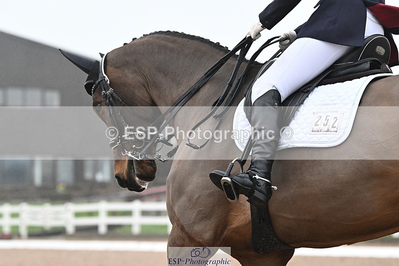 240217A-145112-03728 - 252-Kathryn.Little-Quietly.Does.It